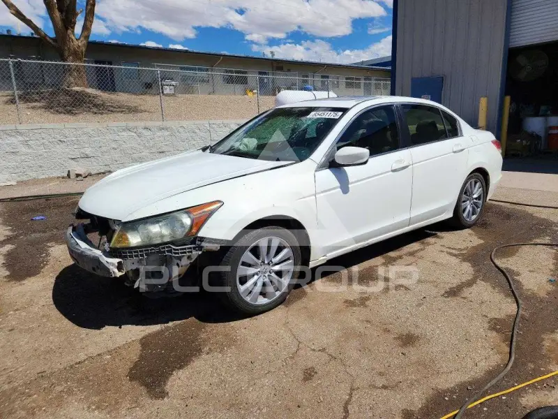2011 Honda Accord photo
