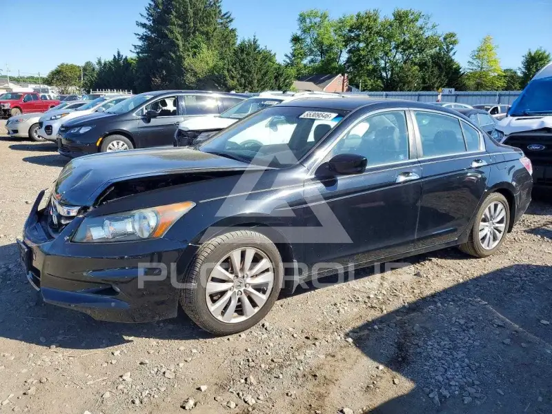 2011 Honda Accord фото