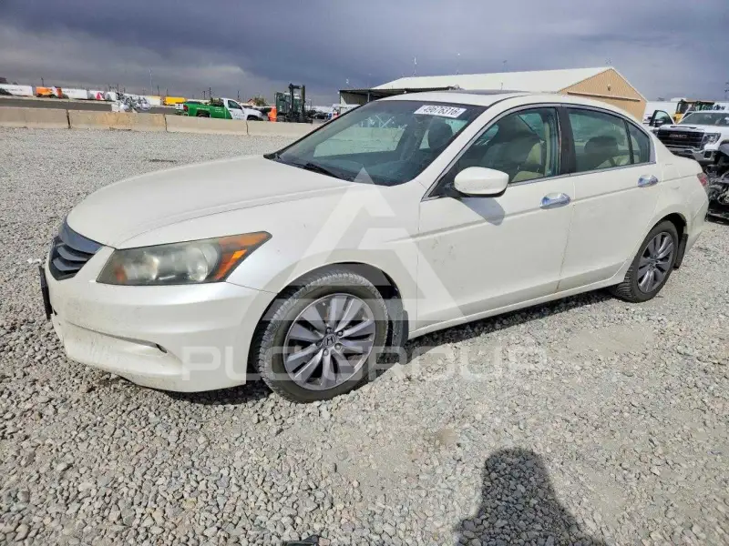 2011 Honda Accord фото