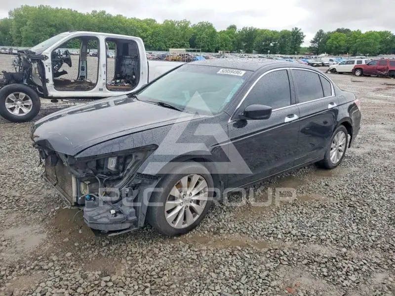 2011 Honda Accord photo