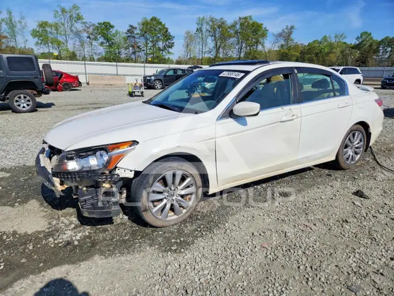 2011 Honda Accord photo