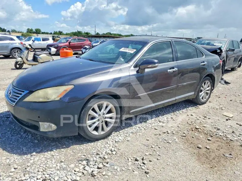 2011 Lexus ES350 фото
