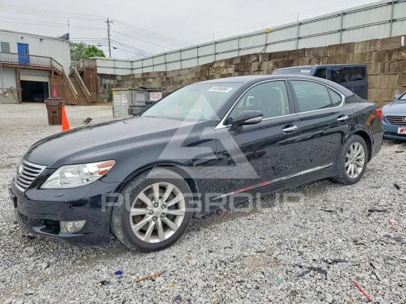 2011 Lexus LS460 фото