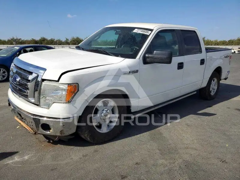 2011 Ford F-150 photo