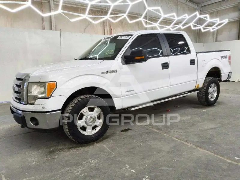 2011 Ford F-150 photo