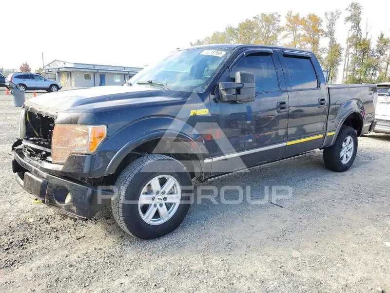 2011 Ford F-150 photo