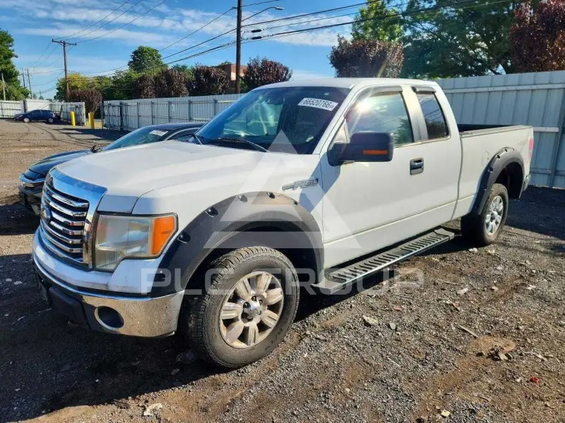 2011 Ford F-150 photo
