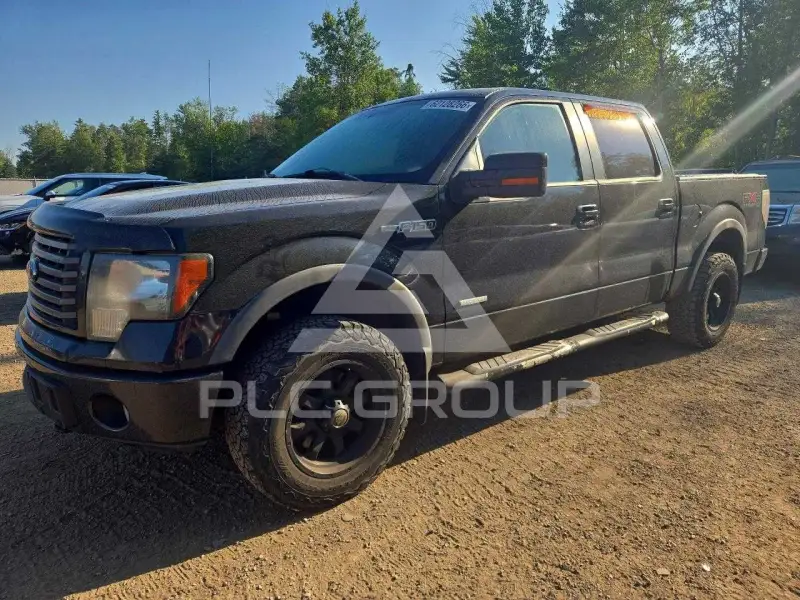 2011 Ford F-150 photo