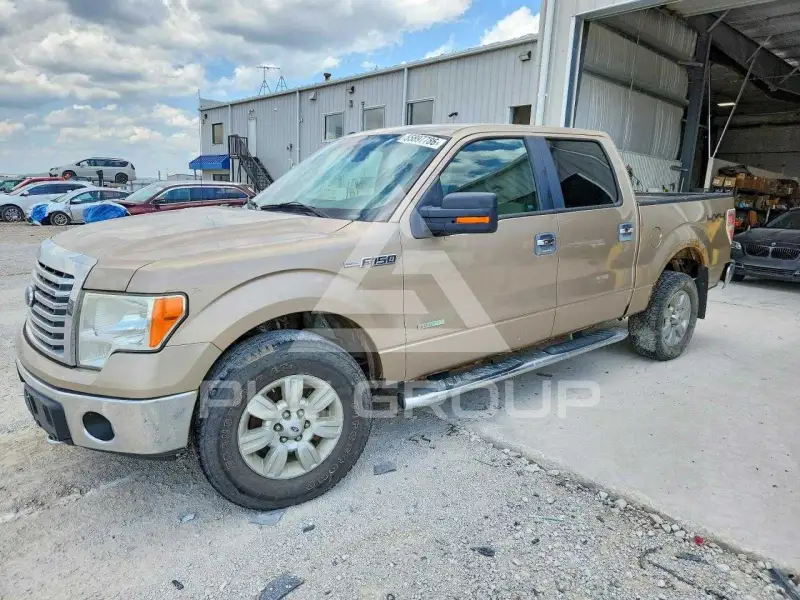 2011 Ford F-150 photo
