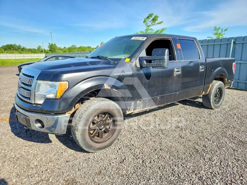 2011 Ford F-150 photo