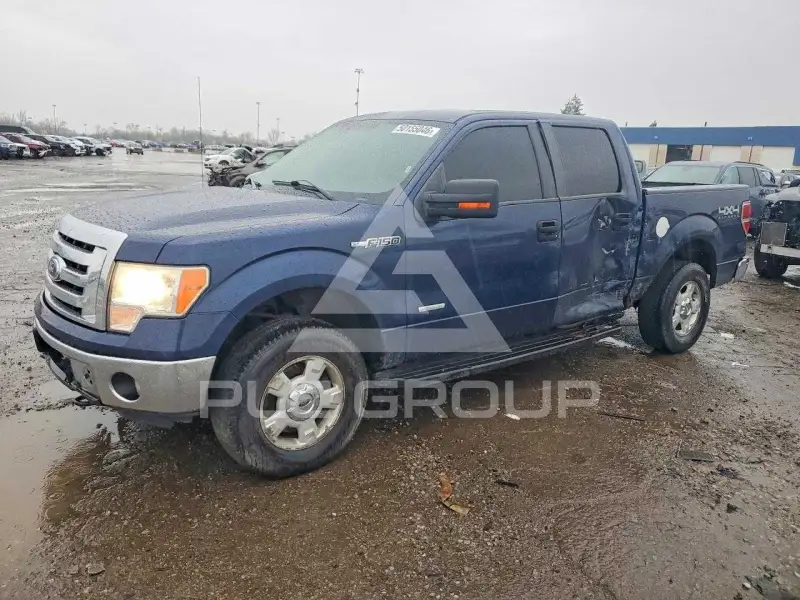 2011 Ford F-150 photo