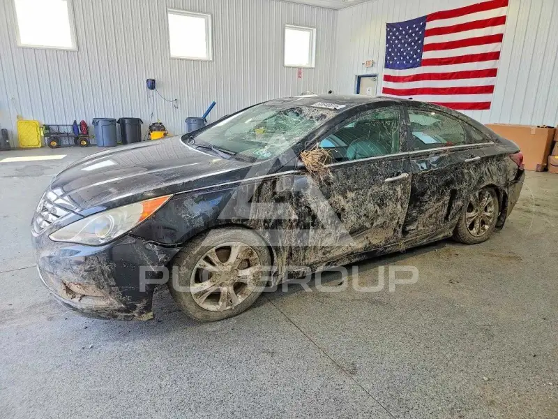 2011 Hyundai Sonata фото
