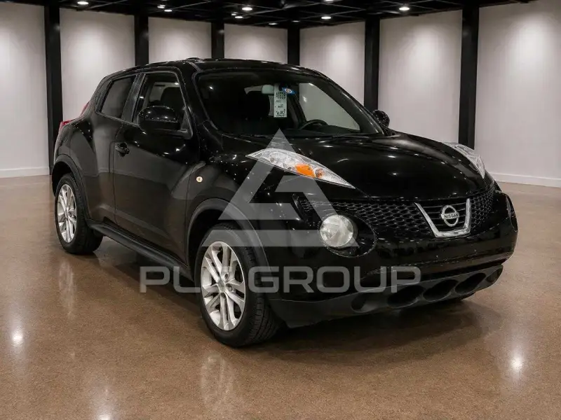 2012 Nissan Juke photo