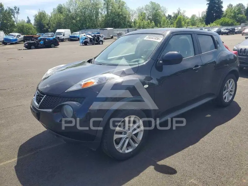 2012 Nissan Juke photo