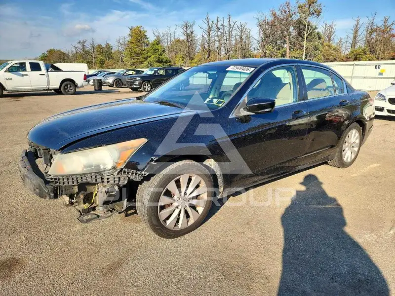 2012 Honda Accord photo