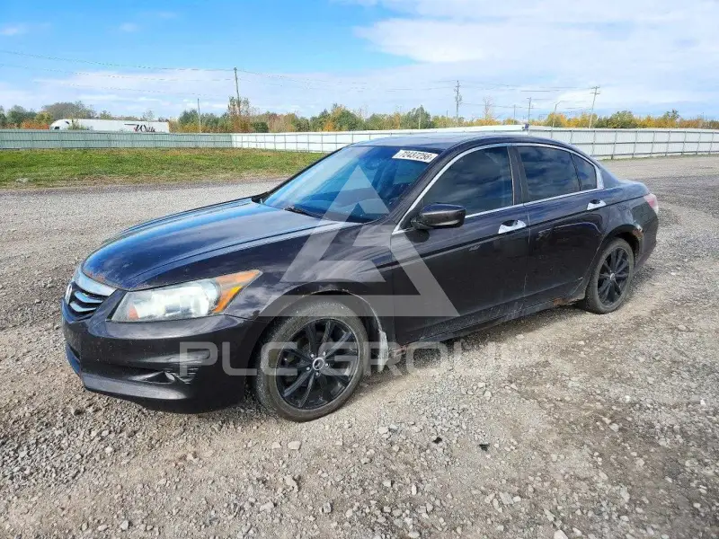 2012 Honda Accord фото
