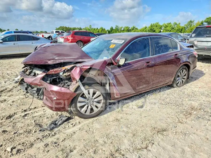2012 Honda Accord фото