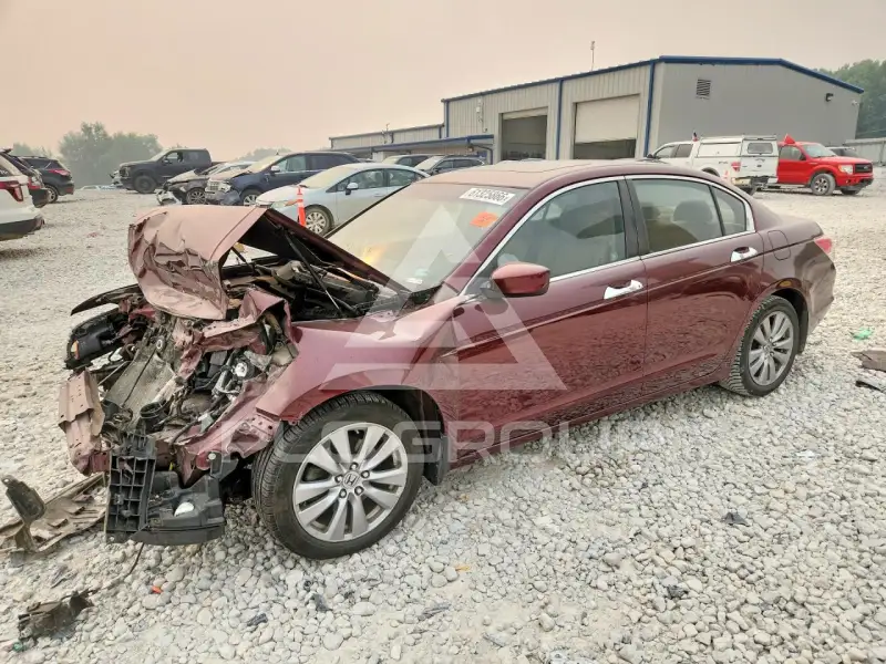 2012 Honda Accord photo