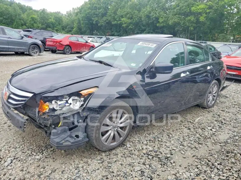 2012 Honda Accord photo