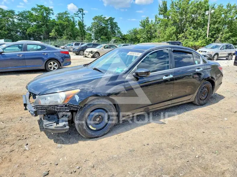 2012 Honda Accord photo