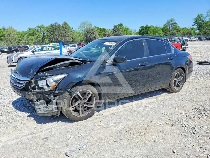 2012 Honda Accord photo