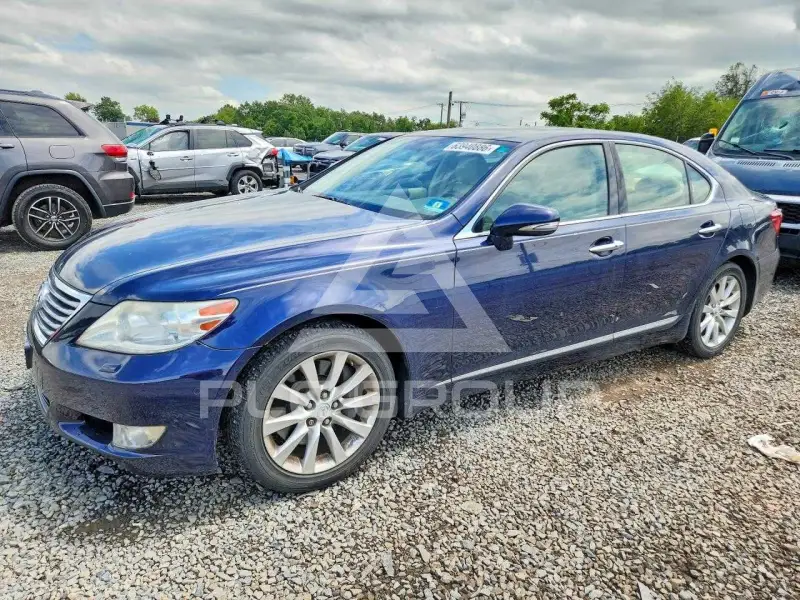 2012 Lexus LS460 фото