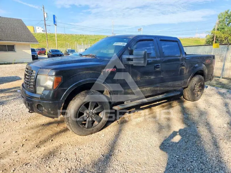 2012 Ford F-150 photo