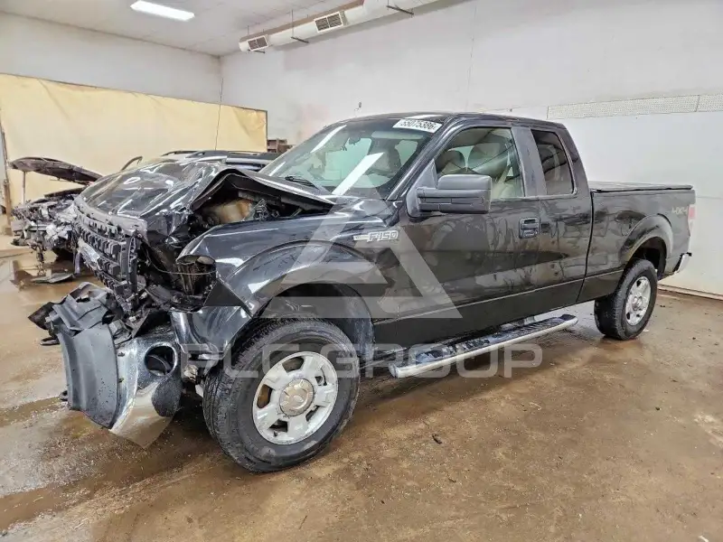 2012 Ford F-150 photo