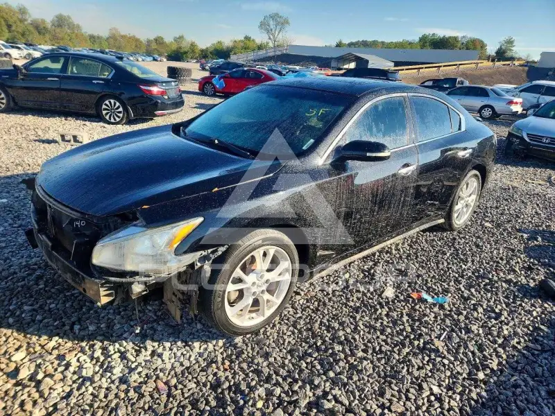 2013 Nissan MAXIMA фото
