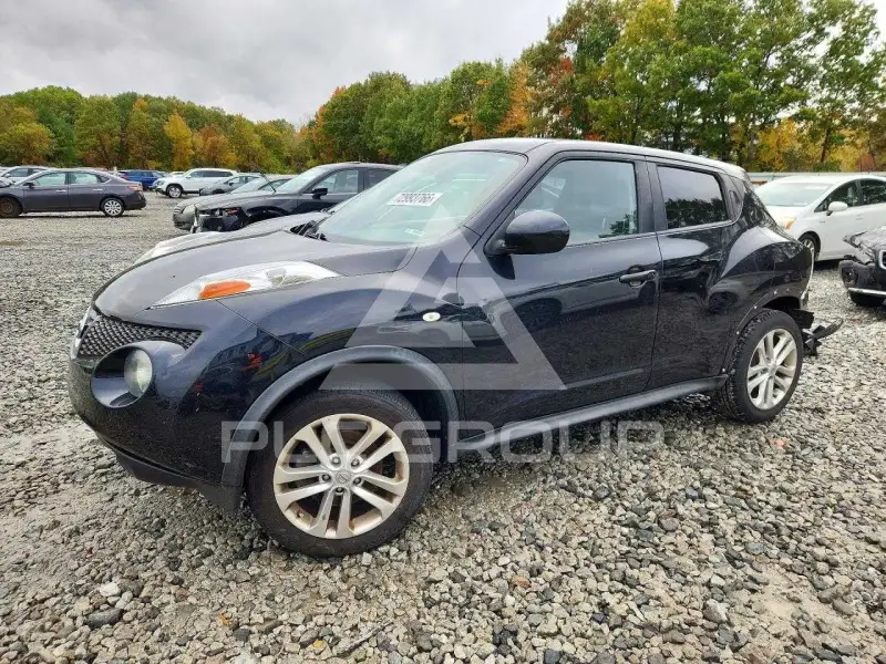 2013 Nissan Juke photo