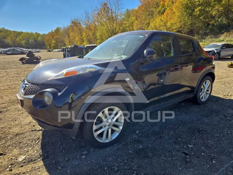 2013 Nissan Juke photo