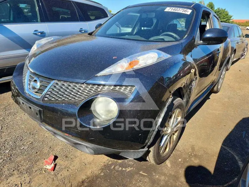 2013 Nissan Juke photo