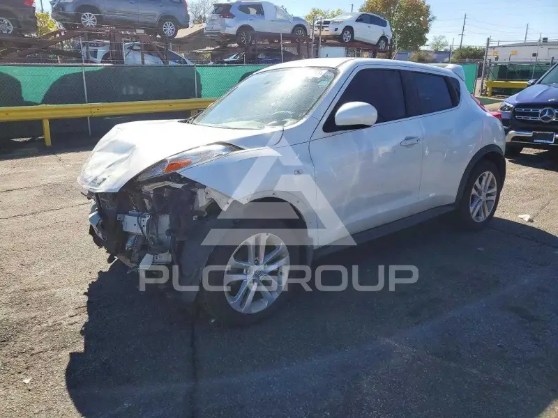 2013 Nissan Juke photo