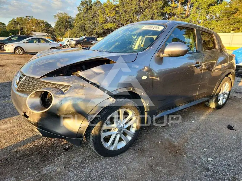 2013 Nissan Juke photo