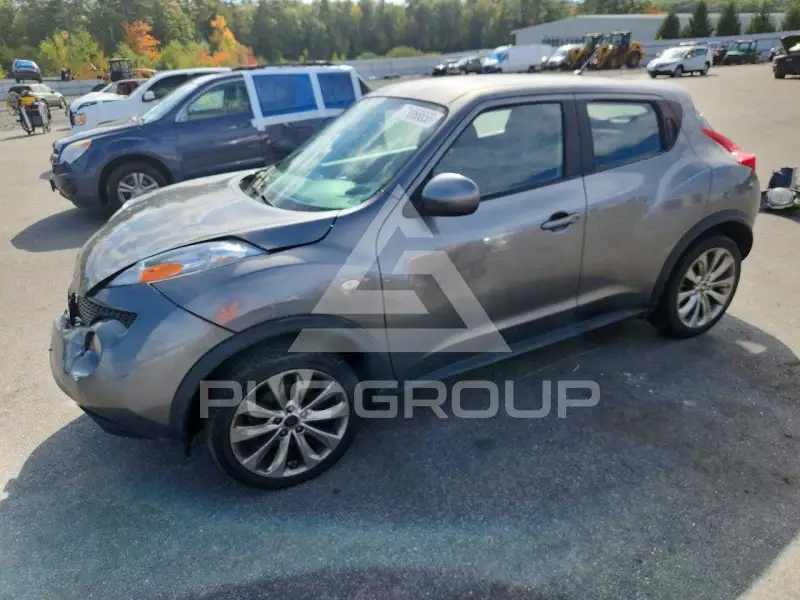 2013 Nissan Juke photo
