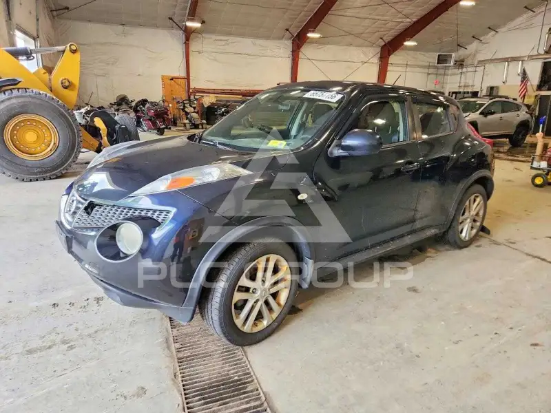 2013 Nissan Juke photo