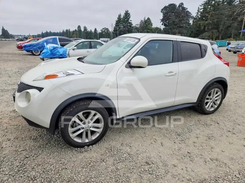 2013 Nissan Juke photo