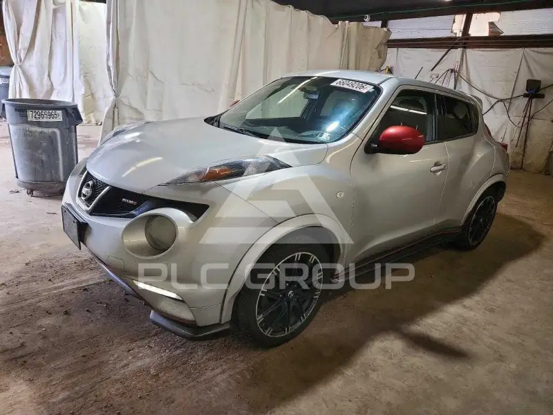 2013 Nissan Juke photo