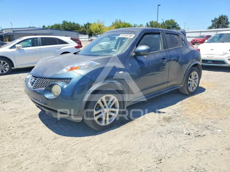 2013 Nissan Juke photo