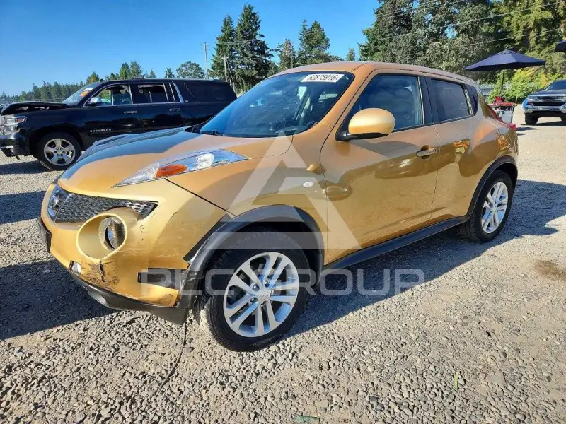 2013 Nissan Juke photo