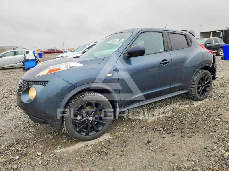 2013 Nissan Juke фото