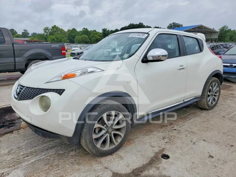 2013 Nissan Juke photo