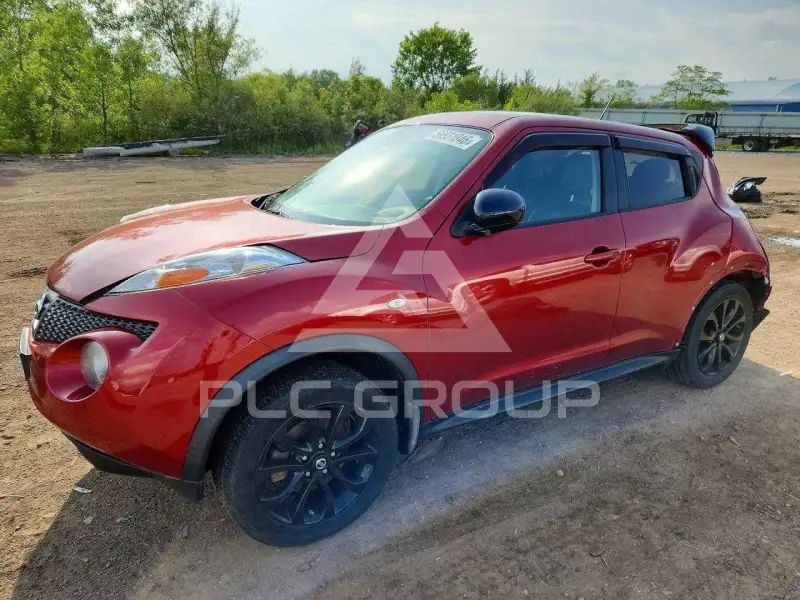 2013 Nissan Juke photo