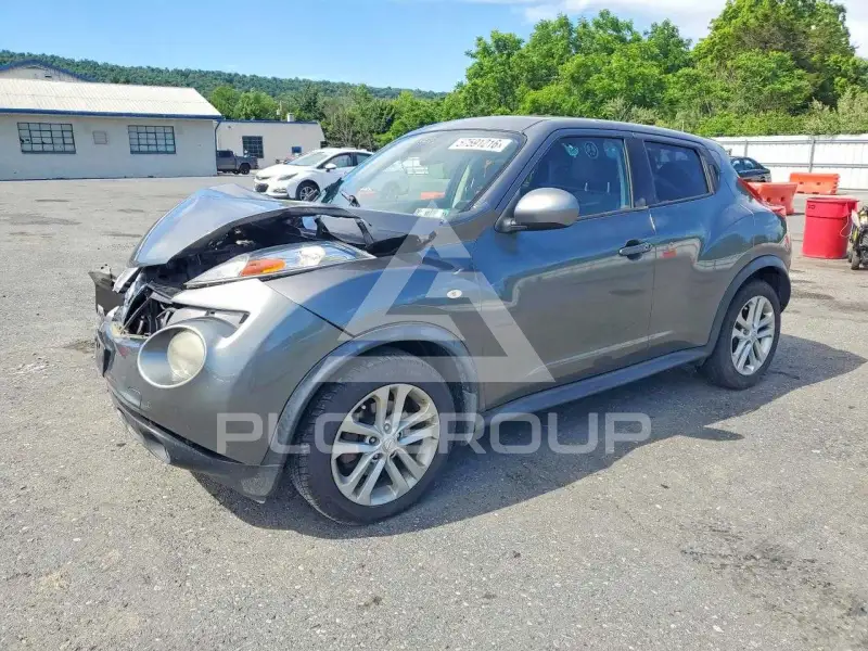 2013 Nissan Juke photo