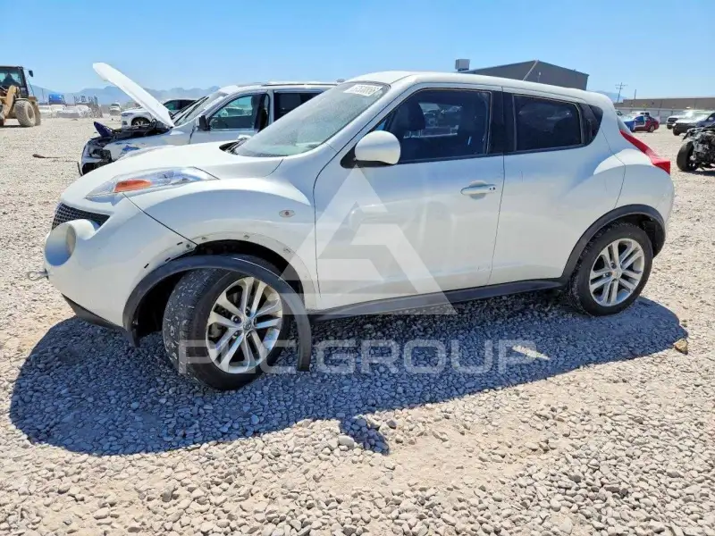 2013 Nissan Juke photo