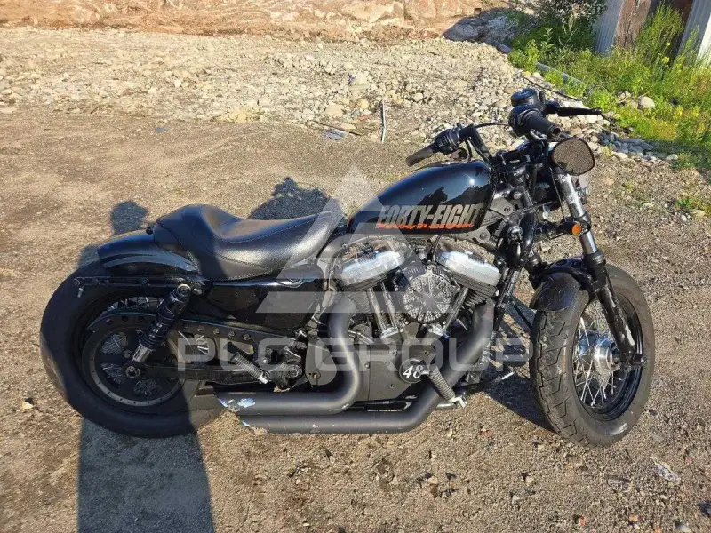 2013 Harley-Davidson Sportster120 фото
