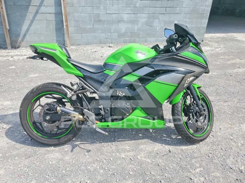2013 Kawasaki  фото
