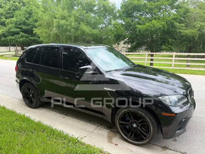 2013 BMW X5 photo
