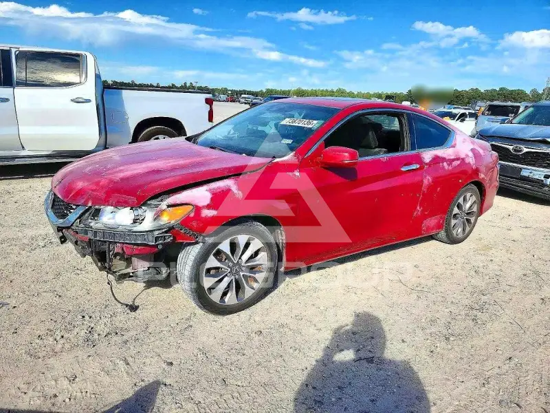 2013 Honda Accord photo