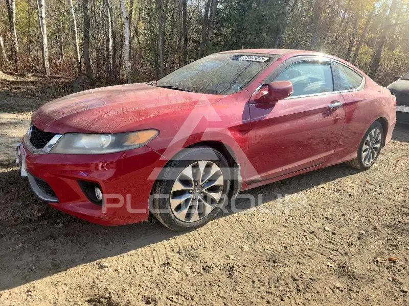 2013 Honda Accord photo